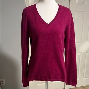 Ann Taylor V-Neck Cashmere Sweater